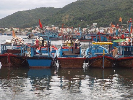 South, central Vietnam urged to stay on high alert as typhoon Hagupit approaches  - ảnh 1